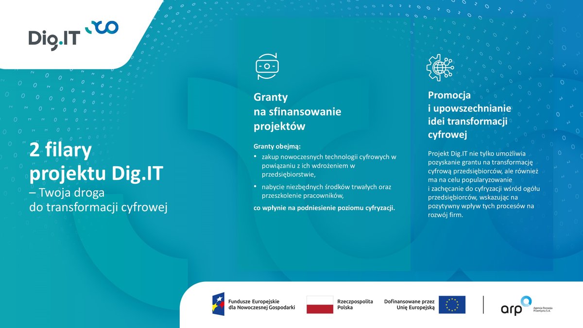 Założenia Projektu DigIT 1